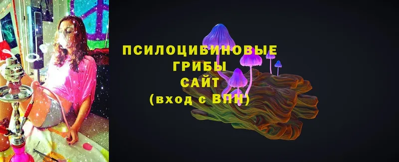 Галлюциногенные грибы Magic Shrooms  Каспийск 